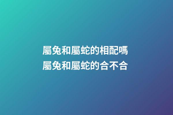 屬兔和屬蛇的相配嗎 屬兔和屬蛇的合不合-第1張-觀點-玄機派